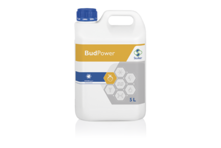 Bud Power