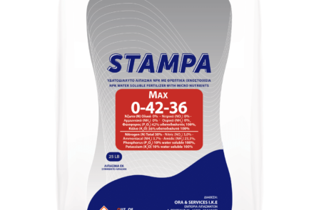 STAMPA MAX 0-42-36